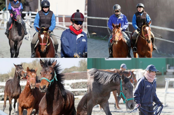 セリで他に買い手がない馬たち「クラウドファンディング」で購入。千葉県八街市の馬の専門学校「馬事学院（バジガク）」学生たちが育て6月7日の大井競馬４Ｒでデビューへ／313kg過去最少馬のデビューへ