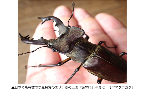 株式会社アクティビティジャパン 山形県飯豊町と提携し、オリジナルの体験プラン第2弾として「夏の昆虫採集プラン」の企画造成、販売を開始