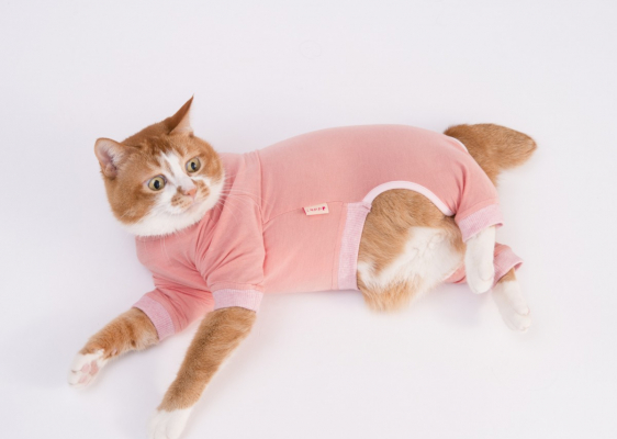 ぽぽねこ　猫用皮膚保護服「キャットプロテクションスーツ」を新発売！アトピーやアレルギーの猫ちゃんの治療をサポート