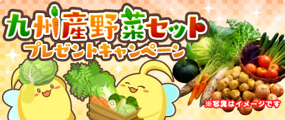 【ハッピーベジフル】『九州産野菜セット』プレゼントキャンペーン開催！
