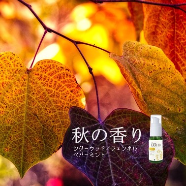 【株式会社セラ】数量限定！秋にぴったりのアロマをブレンドしたビタミンEマッサージオイル「セラリキッド秋の香り」の販売を2019年8月31日より発売開始いたしました。