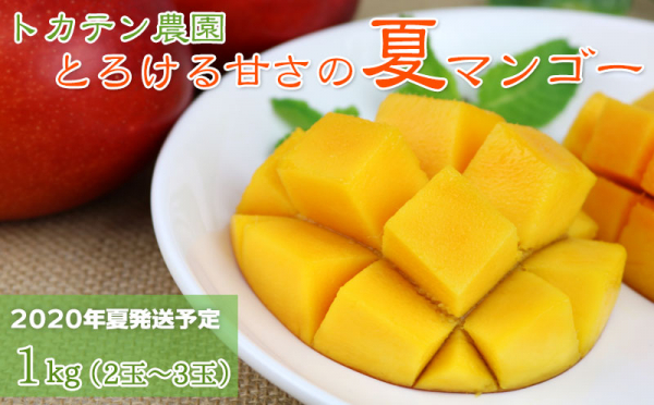 沖縄県南風原町（はえばるちょう）「ふるさと納税」お礼品に『【2020年発送】＜トカテン農園＞とろける甘さの夏マンゴー1kg』を新たに追加いたしました