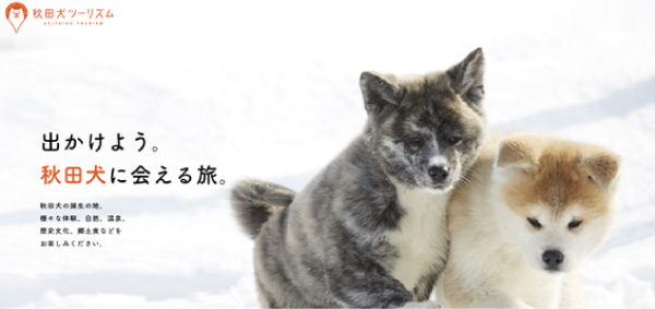 株式会社アクティビティジャパン　秋田犬ツーリズムと連携し体験型観光の日本語、英語での予約・決済サービスのシステム提供を開始