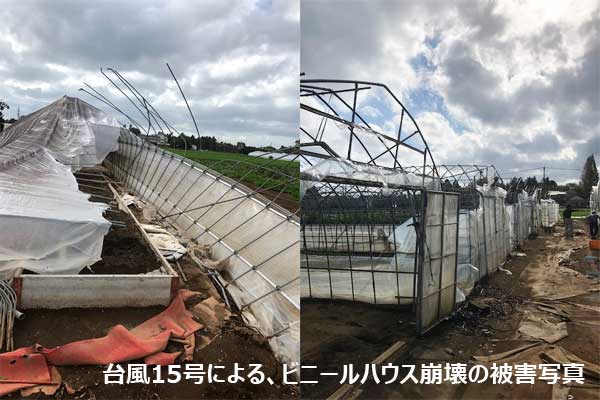 千葉県台風被害・農業を応援。千葉県産原料を使った商品を発売。その売上からの寄付。