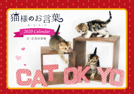 『猫様のお言葉 ネ・コ・ト・バ2020卓上カレンダー』は、志茂田景樹氏の心に響く名言×かわいい子猫写真集。今年もお洒落な猫好きさんにぴったりな大人可愛いデザインで販売スタート！