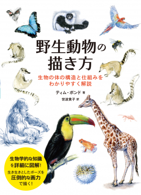 動物スケッチに欠かせない解剖図を豊富に収録 「野生動物の描き方 生物の体の構造と仕組みをわかりやすく解説」 11月20日（金）発売