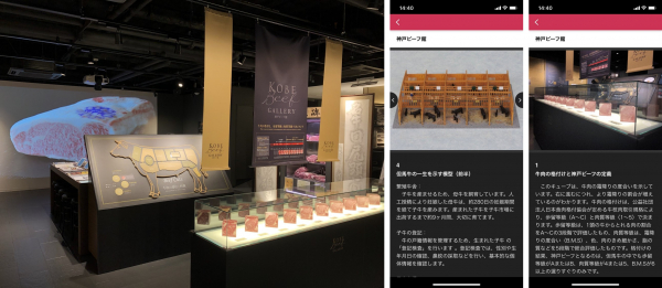 ミュージアム展示ガイドアプリ「ポケット学芸員」が 神戸ビーフ館に導入されました