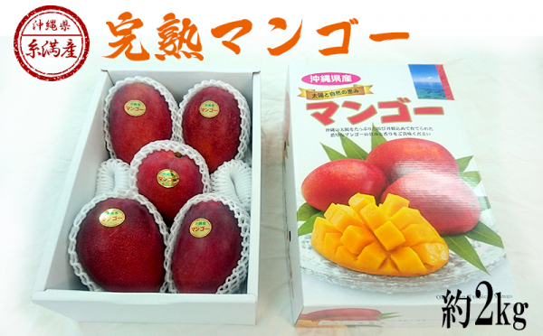 沖縄県糸満市（いとまんし）「ふるさと納税」お礼品に『【2020年発送】沖縄県糸満産　完熟マンゴー約2kg』を新たに追加いたしました