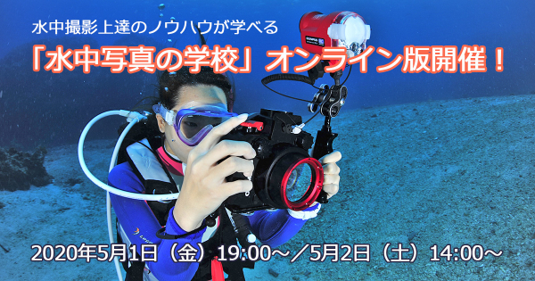 水中撮影上達のノウハウが学べる「水中写真の学校」オンライン版を開催！　5/1（土）19:00～、5/2（日）14:00～