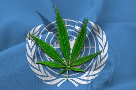 過去10年間の国際的な薬物政策について、国連全体の知見を整理した報告書の和訳を公表。大麻についても新しいアプローチのリスクと利点への研究を指摘