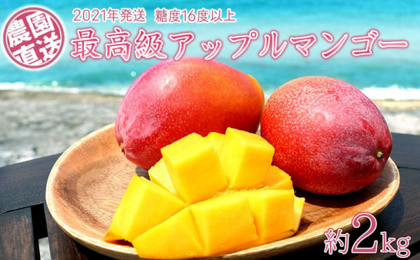 沖縄県大宜味村（おおぎみそん）「ふるさと納税」お礼品に『農園から直送する最高級アップルマンゴー！糖度16度以上　約2kg【2021年発送】』を新たに追加いたしました