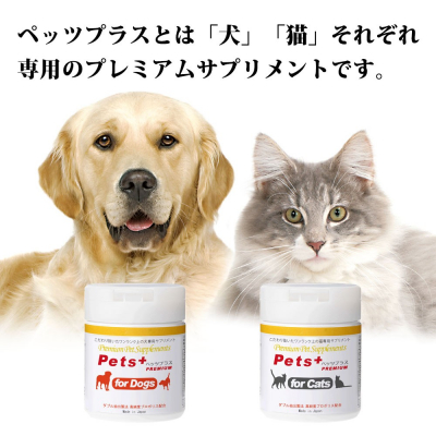 犬・猫専用プレミアムサプリメント『ペッツプラス』がGoogle広告を開始！