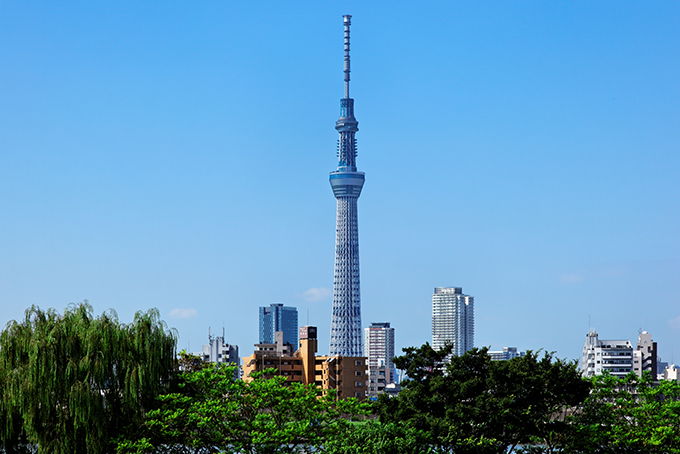 キクカワホールディングス株式会社様 写真03