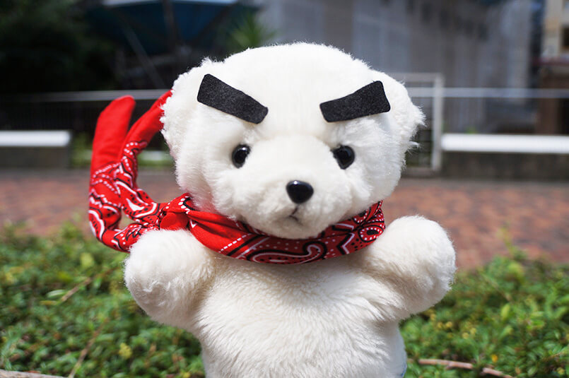 prmag_original_2_010