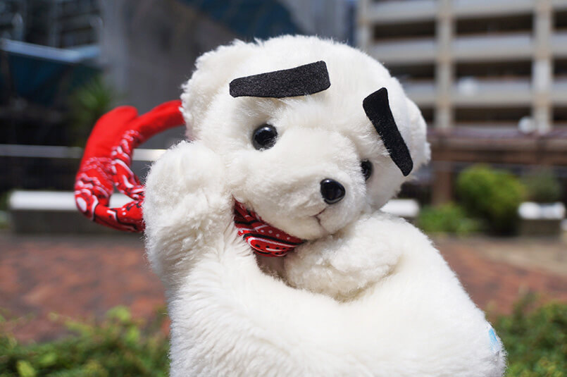 prmag_original_2_012