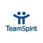 株式会社チームスピリット