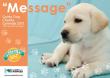 guidedog2013