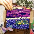 Photograd_150427_03