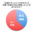 グラフ（自撮りのSNS投稿有無）