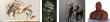 左：岡田恵太 作 / 中央左：森田悠揮 作 / 中央右：中井芙美 作 / 右：坂上千穂 作