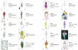 Vantan_AFCU18_2_design