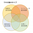 ワキガ臭の4つのタイプ