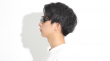 eShadesの装着例(1)