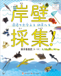 岸壁採集　書影画像