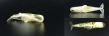 visual2
