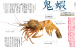 ノミネート媒体中身