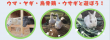 写真-2