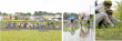写真-0