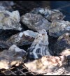 20251229イーグレブルワリー提供：焼き牡蠣.jpeg