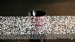大坪氏作品圧縮.png