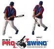 RBI_PRO_SWING2