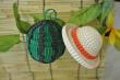 サンプル画像（麦わら帽子とスイカ）