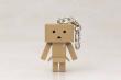 DANBOARD KEYHOLDER