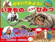 『のぞいてみよう！　いきもののスゴイひみつ』表紙