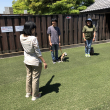 しつけ1