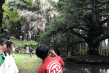 真山神社境内のご神木