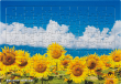 夏空にのびゆく向日葵（山梨）９６ピース