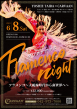 Flamenco Night