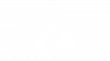 caracal logo