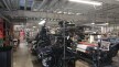 tamakiniiime ショールカット体験イメージ (1).jpg