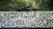 ソウドウ入口圧縮版.png