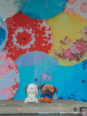 bodyimage2